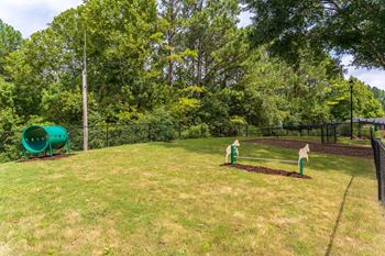 Dog park